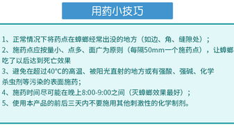 食品工廠如何徹底消滅蟑螂？專家分享實用方法與運營策略